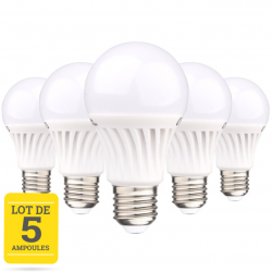 Lot de 5 ampoules LED E27 12W A60 blanc chaud base céramique CREALYS