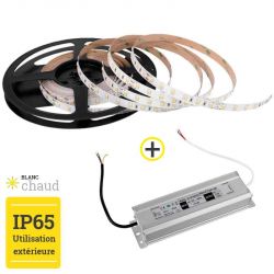 Pack Ruban LED 5m Monochrome + Transformateur 100W 24V IP65