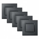 Lot de 5 Interrupteurs Va et Vient Complets Anthracite NOANE