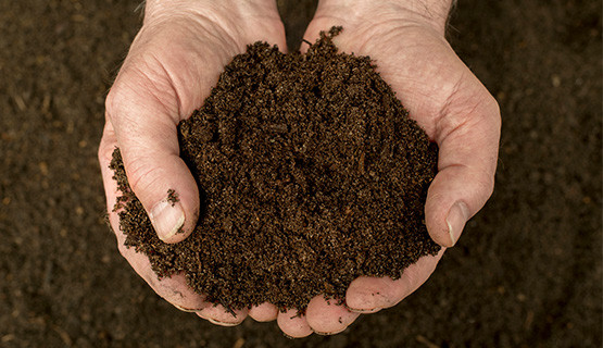 Préparer le sol pour son potager